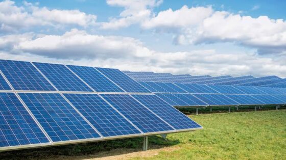 300MW Solar Power Project in Adamawa State: Key Stakeholders Meet to Advance Initiative